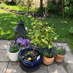 Ubytování v soukromí Dunes & Sea At Kijkduin *