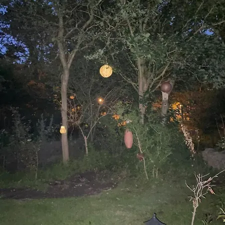 Dunes & Sea At Kijkduin