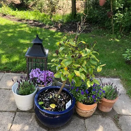 Homestay Dunes & Sea At Kijkduin *