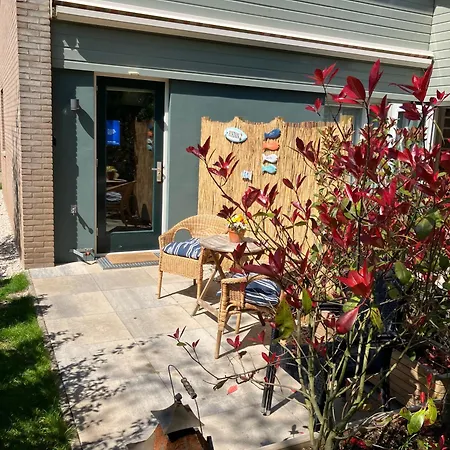 Dunes & Sea At Kijkduin