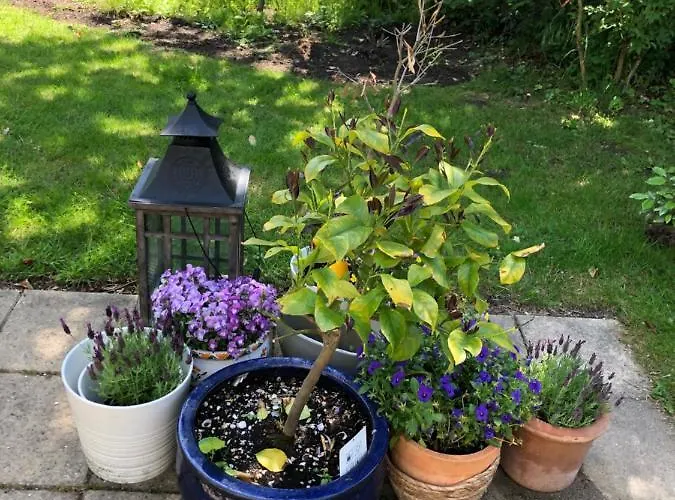 Quarto em Acomodações Particulares Dunes & Sea At Kijkduin *