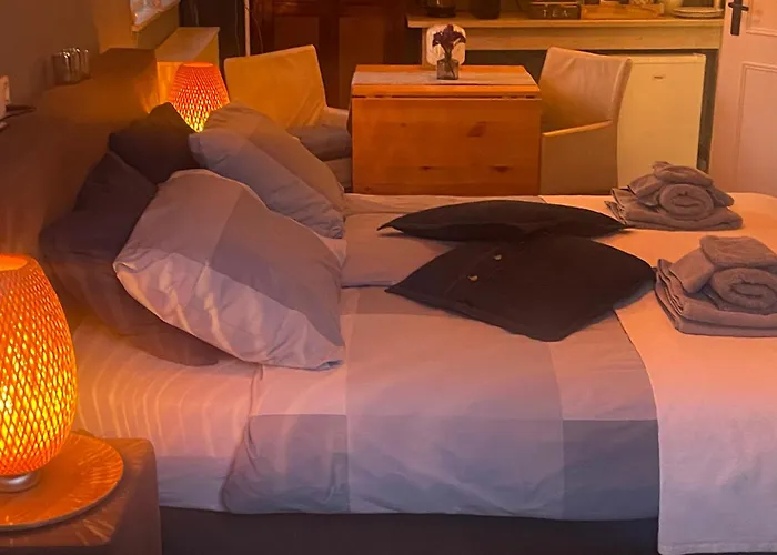 Dunes & Sea At Kijkduin 海牙